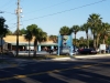 mardi_gras_4
